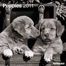 CALENDARIO PUPPIES 2011