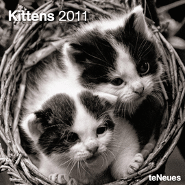 KITTENS CALENDARIO 2011