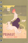 ART NOUVEAU POCKET DELUXE DIARIES 8.8X13 /12