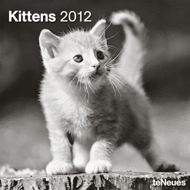 KITTENS  CALEN 30X30    PHOTOGRAPHY/12