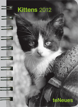 KITTENS POCKET DELUXE DIARIES 8.8X13 /12