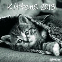 KITTENS 30X30 /13 GRID CALENDARS