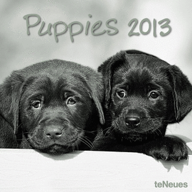 PUPPIES  30X30 /13 GRID CALENDARS