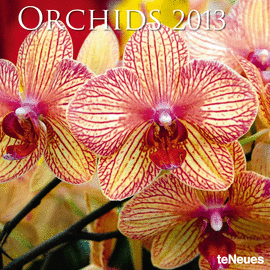 ORCHIDS 30X30 /13 GRID CALENDARS