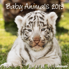 BABY ANIMALS 30X30 /13 GRID CALENDARS