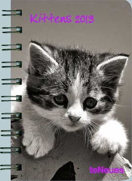 KITTENS 8.8X13 /13 POCKET DELUXE DIARIES