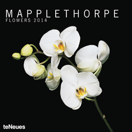 MAPPLETHORPE - FLOWERS