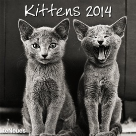 KITTENS