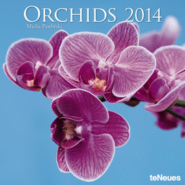 ORCHIDS