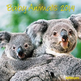 BABY ANIMALS