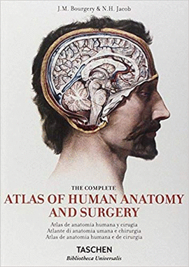 BOURGERY. ATLAS DE ANATOM�A HUMANA Y CIRUG�A (ES/IT/PO)