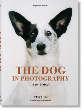 THE DOG IN PHOTOGRAPHY 1839?TODAY
