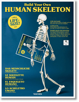 HUMAN SKELETON