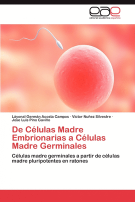 DE C�LULAS MADRE EMBRIONARIAS A C�LULAS MADRE GERMINALES