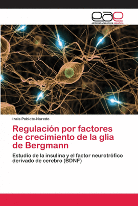 REGULACI�N POR FACTORES DE CRECIMIENTO DE LA GLIA DE BERGMANN