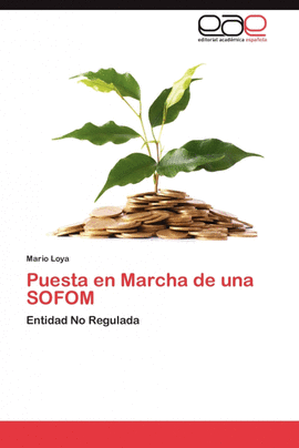 PUESTA EN MARCHA DE UNA SOFOM