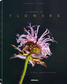 A TRIBUTE TO FLOWERS