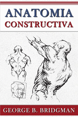 ANATOMIA CONSTRUCTIVA