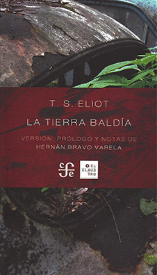 LA TIERRA BALDIA