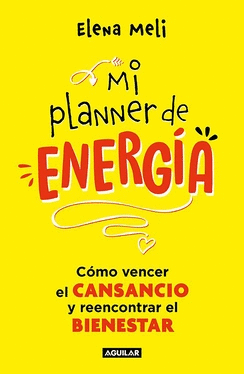 MI PLANNER DE ENERGIA