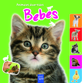 BEB�S