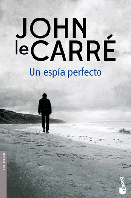 UN ESP�A PERFECTO