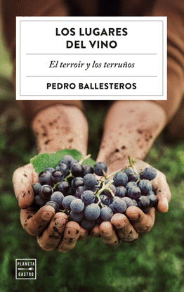 LOS LUGARES DEL VINO