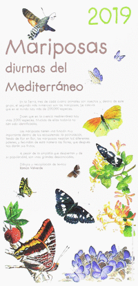 MARIPOSAS DIURNAS DEL MEDIERRNEO