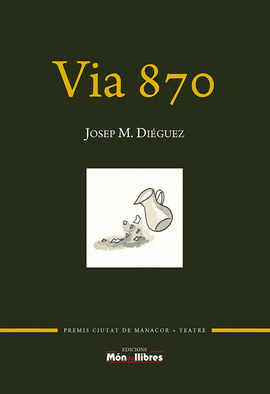 VIA 870