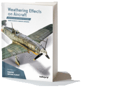WEATHERING EFFECTS ON AIRCRAFT