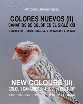 COLORES NUEVOS (II) - NEW COLOURS (II)