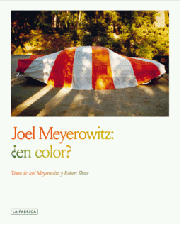 JOEL MEYEROWITZ:�EN COLOR?