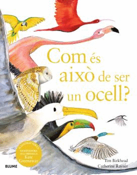 COM S AIX DE SER UN OCELL?