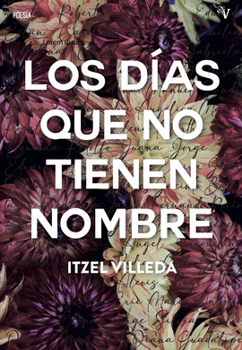 LOS D�AS QUE NO TIENEN NOMBRE