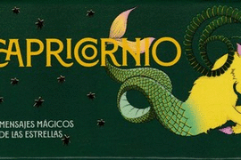 CAPRICORNIO. 40 MENSAJES MAGICOS DESDE LAS ESTRELLAS