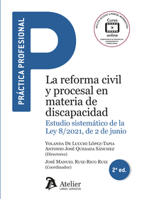 LA REFORMA CIVIL Y PROCESAL EN MATERIA DISCAPACIDAD 2ED