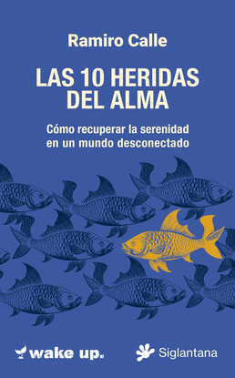 LAS 10 HERIDAS DEL ALMA