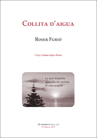 COLLITA D'AIGUA