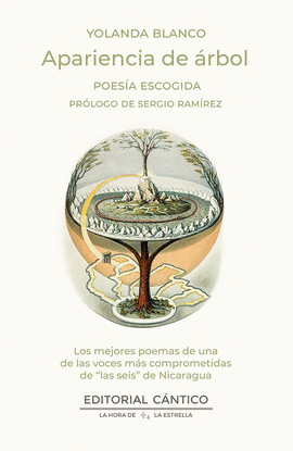 APARIENCIA DE �RBOL