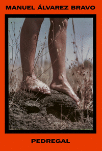 MANUEL �LVAREZ BRAVO. PEDREGAL