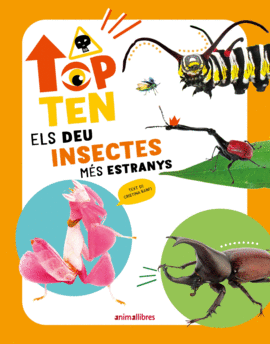 TOP TEN ELS DEU INSECTES M�S ESTRANYS
