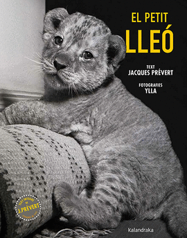 EL PETIT LLE�