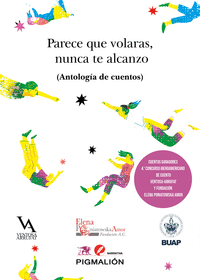 PARECE QUE VOLARAS, NUNCA TE ALCANZO