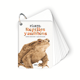 F�JATE: REPTILES Y ANFIBIOS