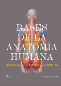 BASES DE LA ANATOMIA HUMANA