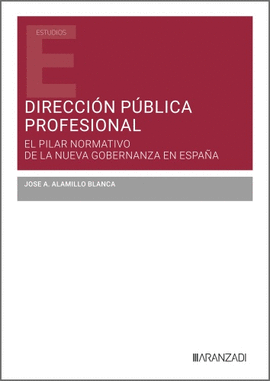 DIRECCI�N P�BLICA PROFESIONAL