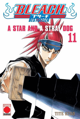 BLEACH BESTSELLER 11 STAR AND STRAY DOG