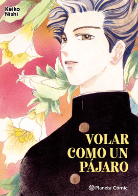 VOLAR COMO UN PJARO