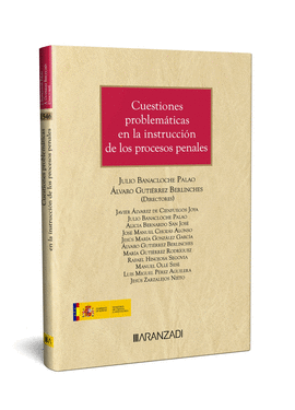 CUESTIONES PROBLEMATICAS EN LA INSTRUCCION DE LOS PROCESOS PENALES