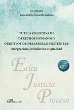TUTELA COLECTIVA DE DERECHOS HUMANOS Y OBJETIVOS DE DESARROLLO SO